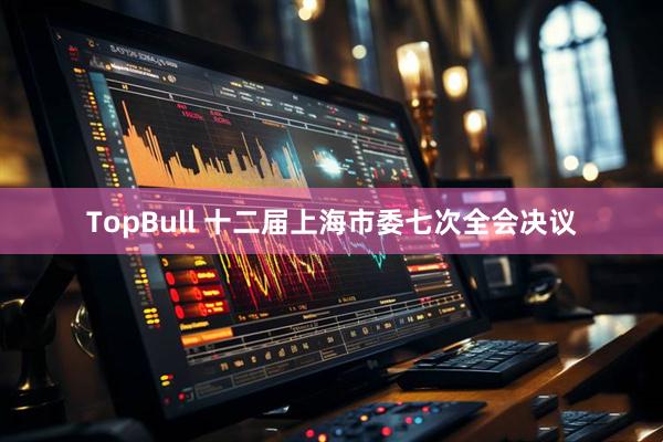 TopBull 十二届上海市委七次全会决议