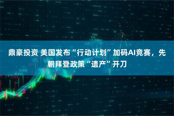 鼎豪投资 美国发布“行动计划”加码AI竞赛，先朝拜登政策“遗产”开刀