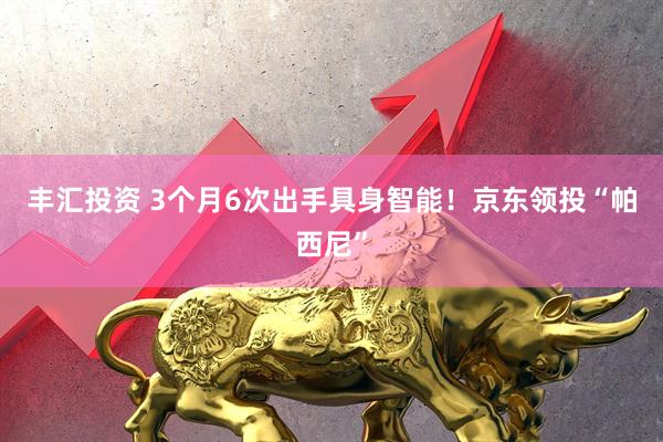 丰汇投资 3个月6次出手具身智能！京东领投“帕西尼”