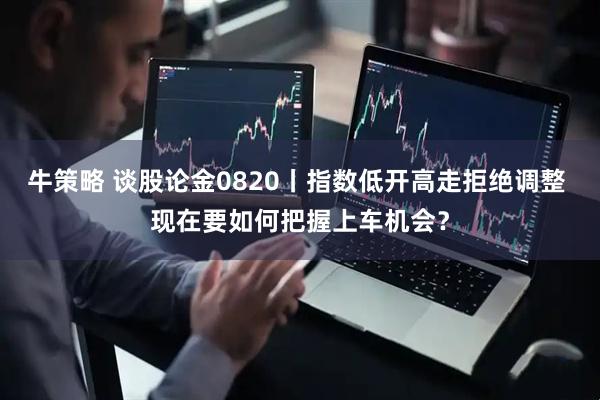 牛策略 谈股论金0820丨指数低开高走拒绝调整 现在要如何把握上车机会？