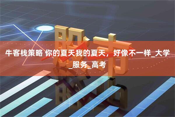 牛客栈策略 你的夏天我的夏天，好像不一样_大学_服务_高考